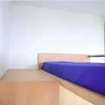 Un Balcon Sur La Apartamento Funchal (Madeira)