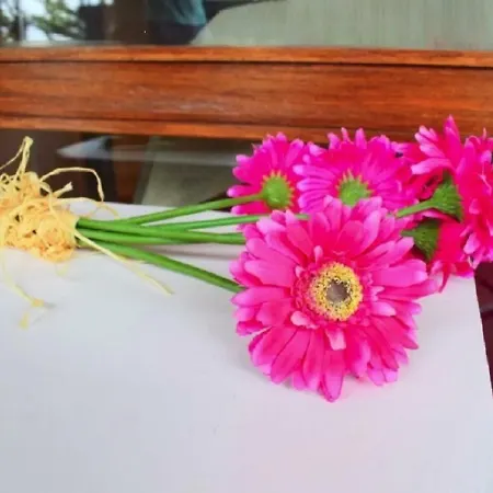 Un Balcon Sur La * Фуншал