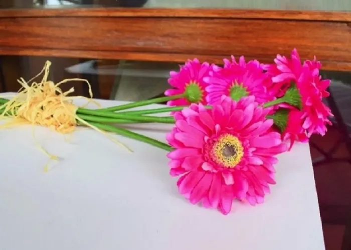 Un Balcon Sur La * 丰沙尔